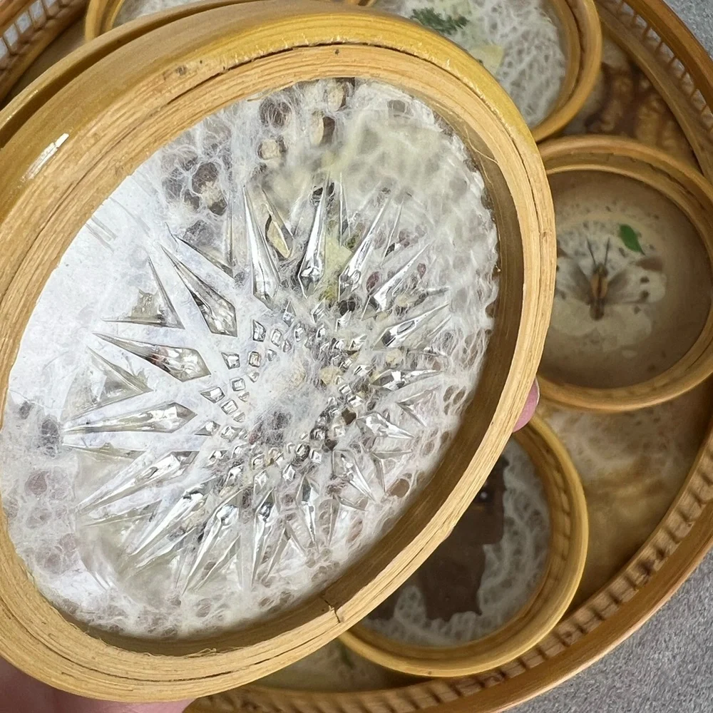 Vintage Round Pressed Butterfly Bar‎ Tray & Coaster Set Bamboo fern leaf retro